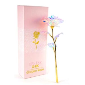 Galaxy Rose